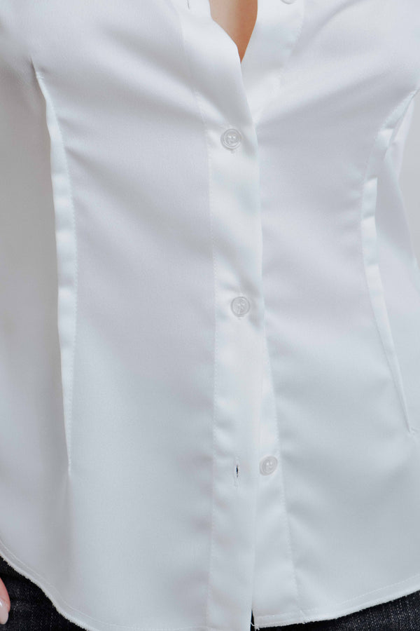 CAMISA ENTALLADA PINZAS